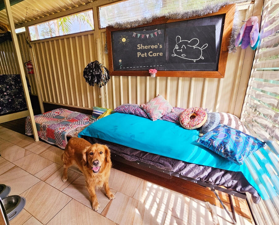 Golden Retriever in front of single bed